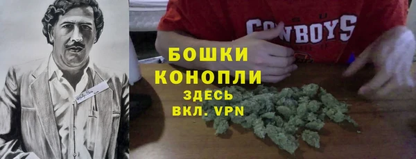 spice Покачи