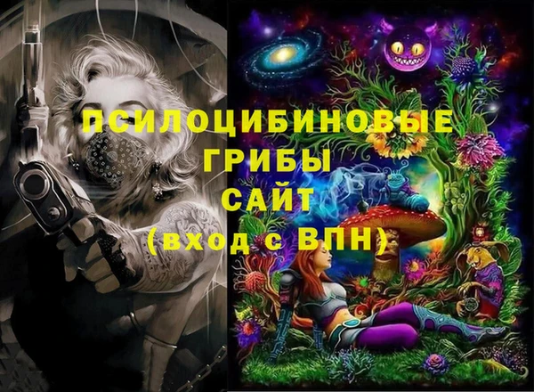 spice Покачи