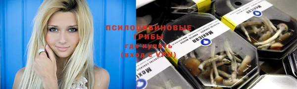 spice Покачи
