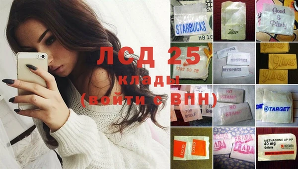 spice Покачи