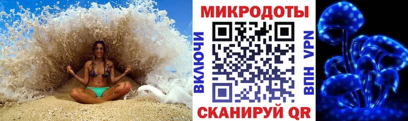 Псилоцибиновые грибы GOLDEN TEACHER  Чёрмоз 